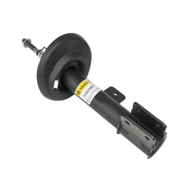 Амортизатор передний газовый RAISO rs315851