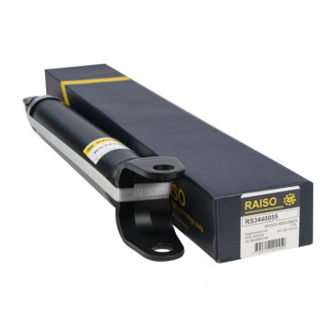Амортизатор задний RAISO rs3440055