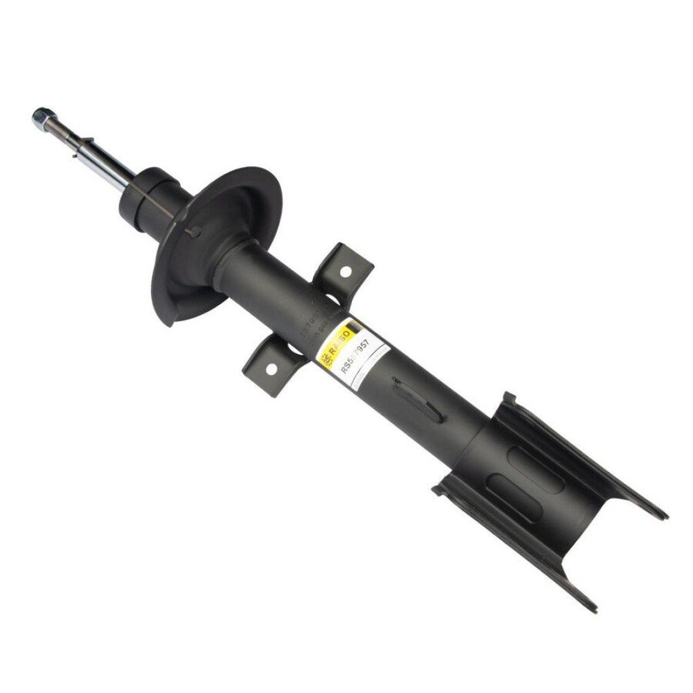 Амортизатор задний газовый RAISO rs557957