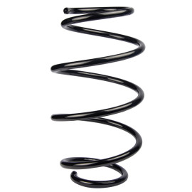 Пружина передня BMW 7 (E38) 94-01 RAISO sf134tp