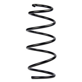 Пружина передня BMW 1 (E81/E82/E87/E88)/3 (E90/E91/E92/E93) 04-13 RAISO sf136tp
