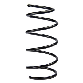 Пружина передняя BMW 3(E36) 90-01 RAISO sf166tp