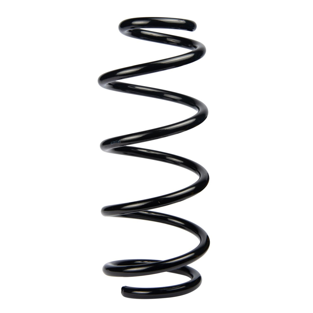 Пружина задня Duster 4x2 10- (L=325mm D=13.00mm) RAISO sr143tp