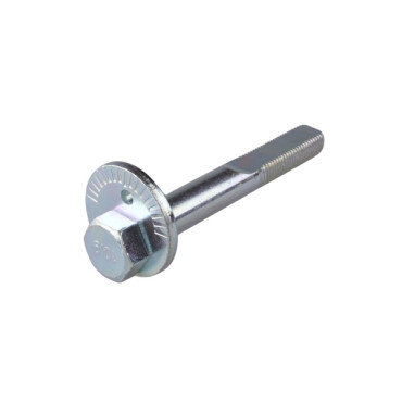 Болт с эксцентриком TEDGUM ted38973