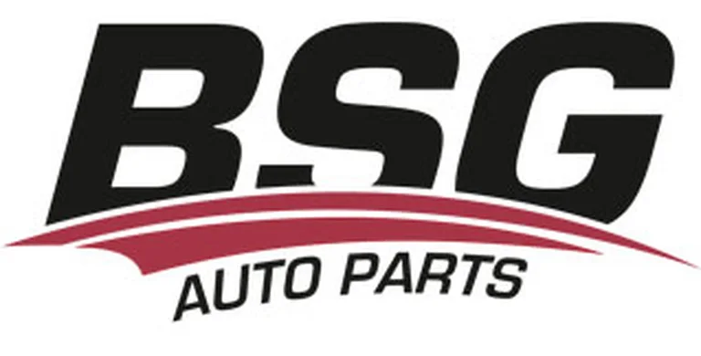 bsg-logo